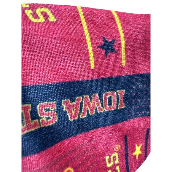 Iowa State Cyclones Logo Pajama Pants Mens Large Lounge Pants - Picture 13 of 13
